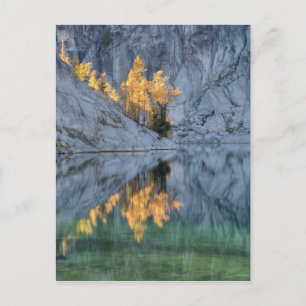 WA, Alpenseen Wildnis, Verzauberung 3 Postkarte