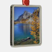 WA, Alpenseen Wildnis, Verzauberung 4 Ornament Aus Metall (Rechts)