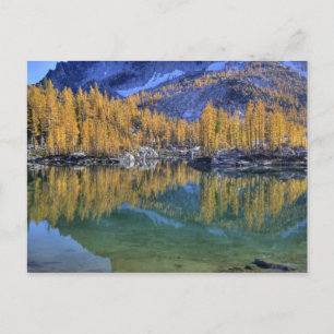 WA, Alpenseen Wildnis, Verzauberung 5 Postkarte