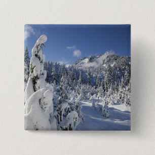 WA, Alpine Lakes Wilderness, Snow Lake-Becken Button