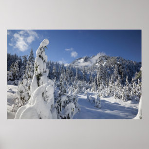 WA, Alpine Lakes Wilderness, Snow Lake-Becken Poster