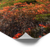 WA, Alpseen Wilderness, Gem Lake, mit Poster (Ecke)