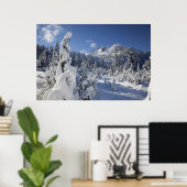 WA, Alpseen Wilderness, Schneesee-Becken Poster (Heimbüro)