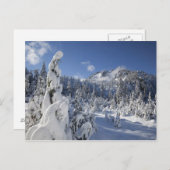 WA, Alpseen Wilderness, Schneesee-Becken Postkarte (Vorne/Hinten)