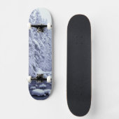WA, Baker-Snoqualmie-Nationalwald, Skateboard (Vorderseite)