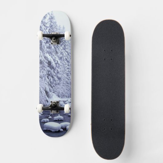 WA, Baker-Snoqualmie-Nationalwald, Skateboard (Vorderseite)