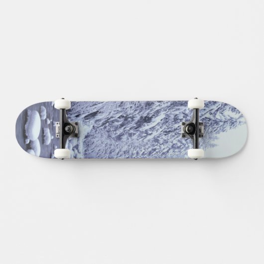 WA, Baker-Snoqualmie-Nationalwald, Skateboard (Horizontal)