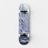 WA, Baker-Snoqualmie-Nationalwald, Skateboard (Vorderseite)