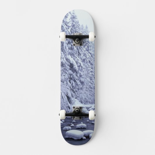 WA, Baker-Snoqualmie-Nationalwald, Skateboard (Vorderseite)
