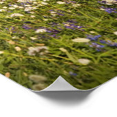 WA, Baker Wilderness, Mt. Shuksan und Poster (Ecke)