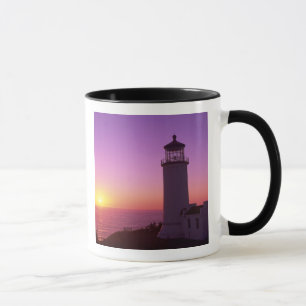 WA, Cape Disappointment State Park, North Head 2 Tasse