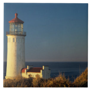 WA, Cape Disappointment State Park, North Head Fliese