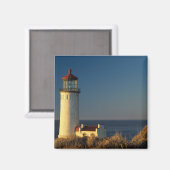 WA, Cape Enttäuschung Staat Park, Nord Head Magnet (Vorderseite/Rückseite)