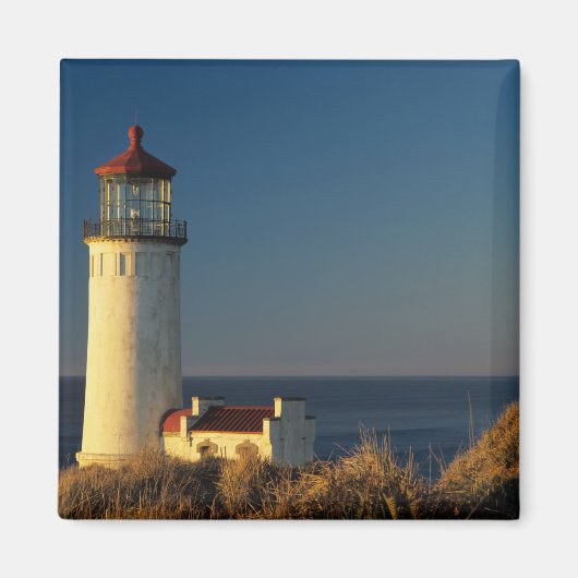 WA, Cape Enttäuschung Staat Park, Nord Head Magnet (Vorne)
