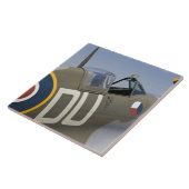 WA, Fly-in Arlingtons, Arlington, Zweiter Fliese (Seite)