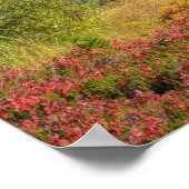 WA, Heather Meadows Freizeitgebiet, Berg 2 Poster (Ecke)