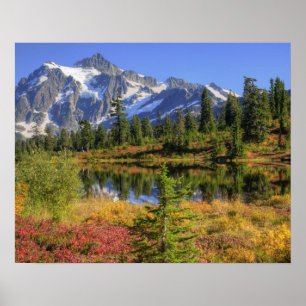 WA, Heather Meadows Recreation Area, MT 2 Poster