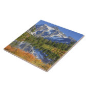 WA, Heather Meadows Recreation Area, Mt. Fliese (Seite)
