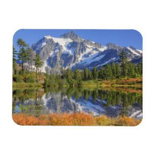 WA, Heather Meadows Recreation Area, MT. Magnet