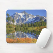 WA, Heather Meadows Recreation Area, Mt. Mousepad (Mit Mouse)