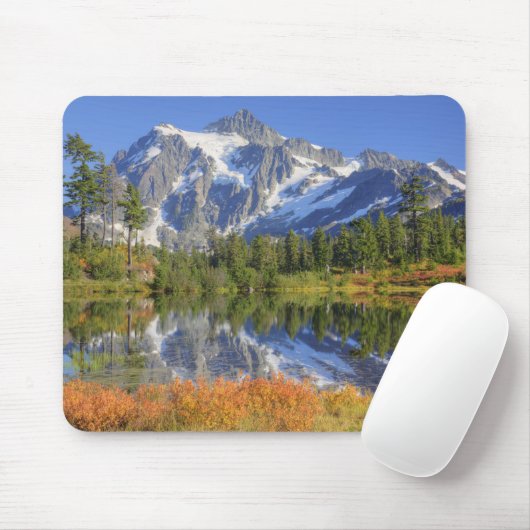 WA, Heather Meadows Recreation Area, Mt. Mousepad (Mit Mouse)