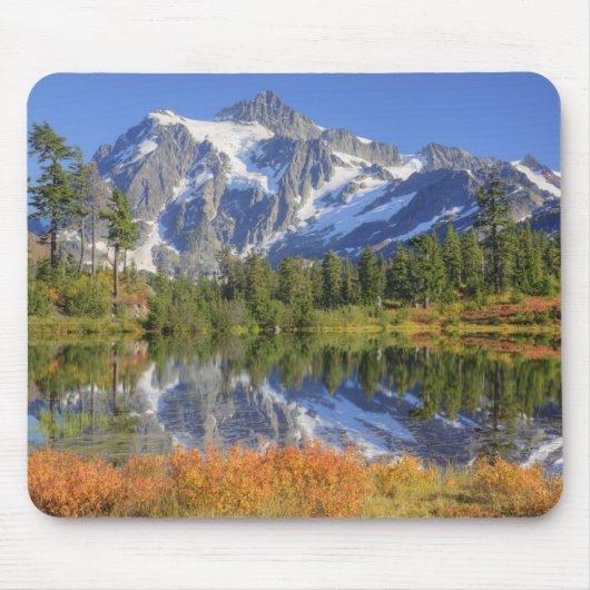 WA, Heather Meadows Recreation Area, Mt. Mousepad (Vorne)