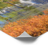 WA, Heather Meadows Recreation Area, MT. Poster (Ecke)