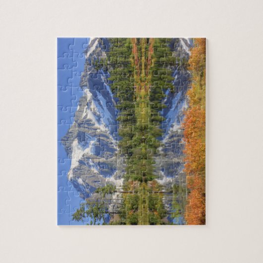 WA, Heather Meadows Recreation Area, Mt. Puzzle (Vertikal)