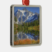 WA, Heather Meadows Recreation Area, Mt. Silbernes Ornament (Rechts)