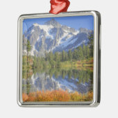WA, Heather Meadows Recreation Area, Mt. Silbernes Ornament (Links)