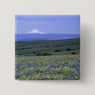 WA, Klickitat County, Dalles Mountain Ranch, Button