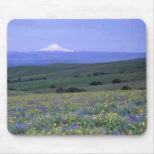 WA, Klickitat County, Dalles Mountain Ranch, Mousepad