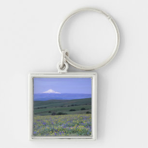 WA, Klickitat County, Dalles Mountain Ranch, Schlüsselanhänger