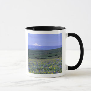 WA, Klickitat County, Dalles Mountain Ranch, Tasse