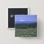 WA, Klickitat Landkreis, Dalles Mountain Ranch, Button (Vorne & Hinten)