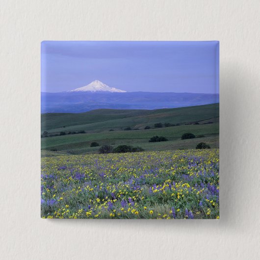 WA, Klickitat Landkreis, Dalles Mountain Ranch, Button (Vorderseite)