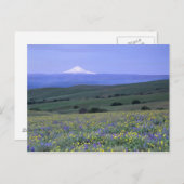 WA, Klickitat Landkreis, Dalles Mountain Ranch, Postkarte (Vorne/Hinten)
