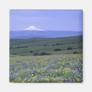 WA, Landkreis Klickitat, Ranch der Berge Dalles, Magnet