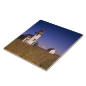 WA, Maury Island, Point Robinson Lighthouse, Fliese (Seite)