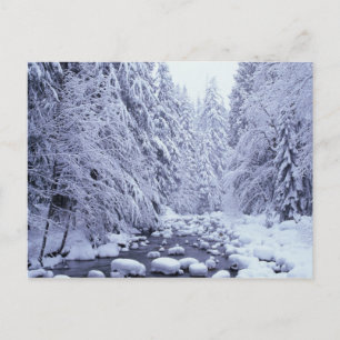 WA, Mount Baker-Snoqualmie National Forest, Postkarte