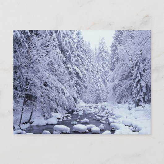 WA, Mount Baker-Snoqualmie National Forest, Postkarte (Vorderseite)