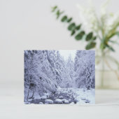 WA, Mount Baker-Snoqualmie National Forest, Postkarte (Stehend Vorderseite)