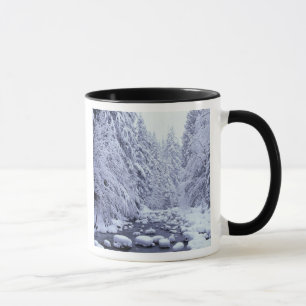WA, Mount Baker-Snoqualmie National Forest, Tasse