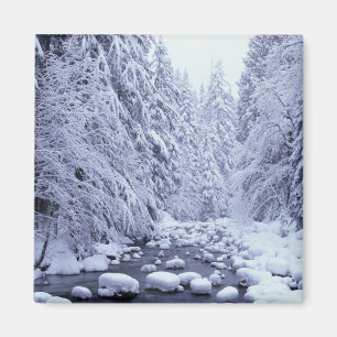 WA, Mount Baker-Snoqualmie Nationalforst, Magnet