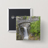 WA, Mount Rainier National Park, Christine Falls Button (Vorne & Hinten)