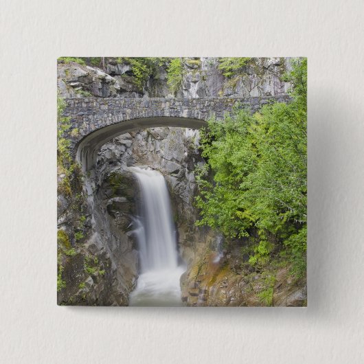 WA, Mount Rainier National Park, Christine Falls Button (Vorderseite)