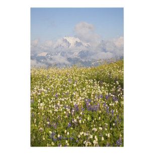 WA, Mt. Baker Wilderness, Mt. Shuksan und Fotodruck