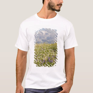 WA, Mt. Baker Wilderness, Mt. Shuksan und T-Shirt