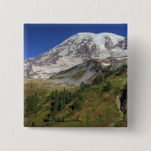 WA, Mt. Rainier Nationalpark, Blick von der Button