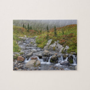 WA, Mt. Rainier Nationalpark, Edith Creek Puzzle